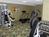 Holiday Inn Laurel::Priceline.com