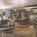 Moonlite Inn::BedAndBreakfast.com