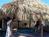 Ramada Limited Fort Myers::Orbitz