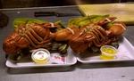 Young's Lobster Pound