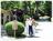 Mountain Brook Cottages::BedAndBreakfast.com
