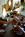 Holiday Inn Atlanta-Decatur::Orbitz