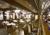 Radisson Hotel Valley Forge::ProfessionalTravelGuide.com