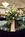 Holiday Inn North Shore::Orbitz