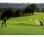 Hyatt Regency Hill Country Resort & Spa::Epinions.com