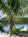 Siesta Key Bungalows::BedAndBreakfast.com