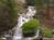 Busch Gardens Williamsburg::ThrillNetwork.com