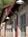 Foundry Park Inn And Spa::Yahoo! Travel