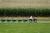 Rocky Acre Farm Bed and Breakfast::TripAdvisor