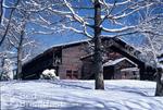 Garnet Hill Lodge