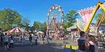 Tn-fun_forest_pano