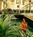 Fairfield Inn and Suites - Hayward from Travelocity.com