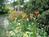 The Ashby Inn & Restaurant::BedAndBreakfast.com