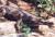 San Antonio Zoo::Yahoo! Travel
