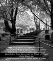 Burial Hill::Burial Hill