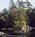 Alamoosook Lakeside Inn::BedAndBreakfast.com
