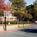 Residence Inn by Marriott Atlanta Dunwoody from Orbitz