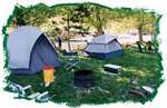 Tn-tents_grass