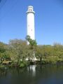 Tn-sulpher_springs_water_tower_006
