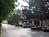 Best Western Pine Tree Motel::ProfessionalTravelGuide.com