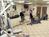 Holiday Inn Express Henderson from Orbitz