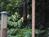 Aska Lodge::TripAdvisor