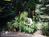 The Morgan Inn Bed and Breakfast::BedAndBreakfast.com