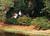 Litchfield Plantation::Expedia