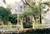 A Lady Winette Cottage B&B::BedAndBreakfast.com