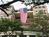 Hotel ZaZa - Houston::ProfessionalTravelGuide.com