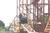 Six Flags Kentucky Kingdom::ThemeParksOnline