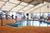 Best Western Carlton Suites::Priceline.com