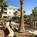 Courtyard Las Vegas Green Valley::Travelocity.com