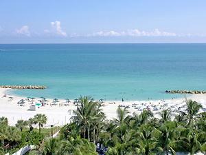 Web-mia_ocer-eview-1