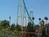 Knott's Berry Farm::ThrillNetwork.com