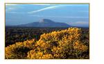 Arizona Land & Ranches