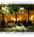 Rivoli Restaurant from OpenTable.com