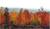 Best Western Inn Of Cobleskill::Orbitz