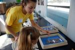 The Pier Aquarium::Pieraquarium.org