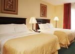 Clarion Collection Groton