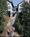 Cape Fox Lodge::Orbitz