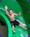 Grand Harbor Resort and Waterpark::Priceline.com