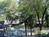 Paradise Inn::Priceline.com