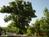Spirit Tree Inn B&B::BedAndBreakfast.com