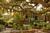 Tybee Island Inn Bed and Breakfast::BedAndBreakfast.com