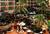 Sheraton Suites Cypress Creek::ProfessionalTravelGuide.com