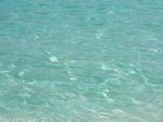 Paradise Island Golf Club::TripAdvisor