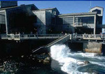 Monterey Bay Aquarium