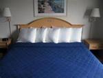 Quality Inn and Suites