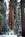 Best Western Porterville Inn::Expedia